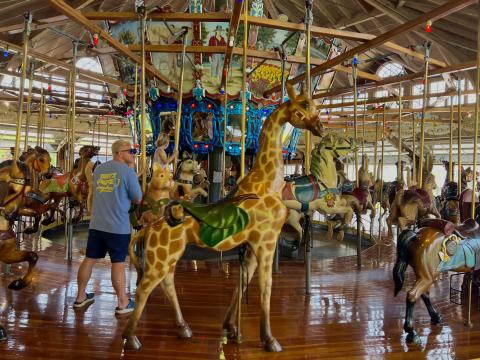  The Richland Carousel Park has been in downtown Mansfield since 1991. The business that hand-carved the figurines has shut down.