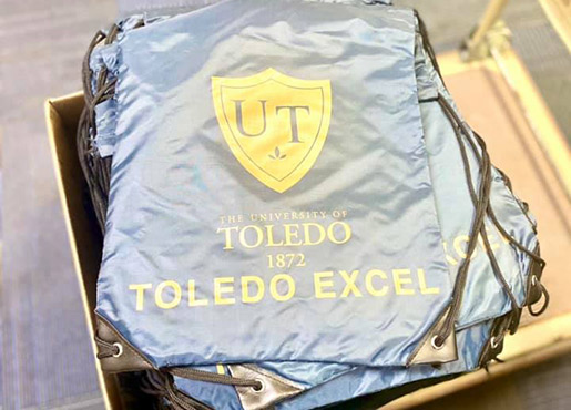 Toledo Excel