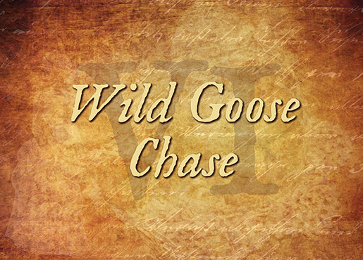 Wild Goose Chase