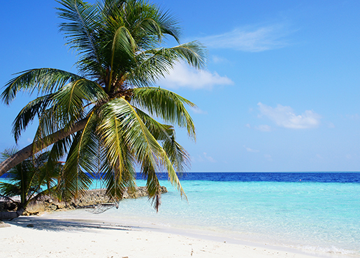 Desert Island Discs
