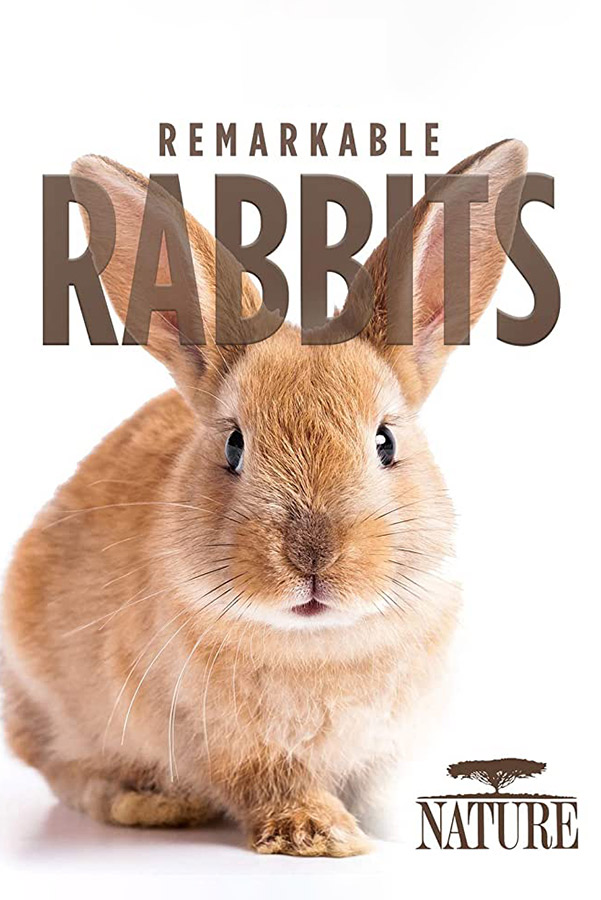 Nature Remarkable Rabbits - 600x900