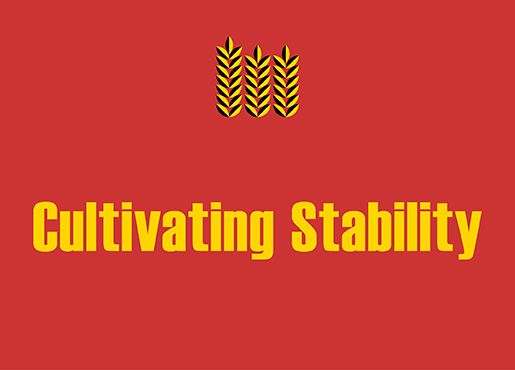 Stability