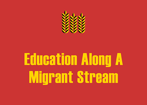 Migrant Stream