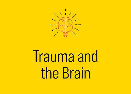 Trauma and the Brain