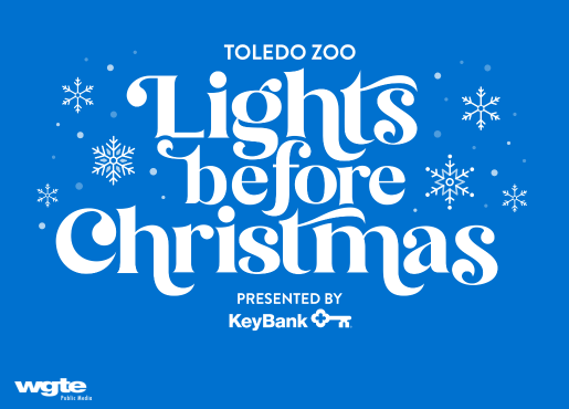 toledo zoo lights before christmas wgte
