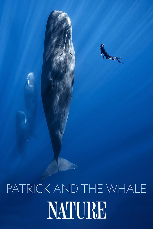 Nature Patrick and the Whale 600x900