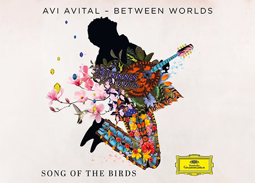 Avi Avatal