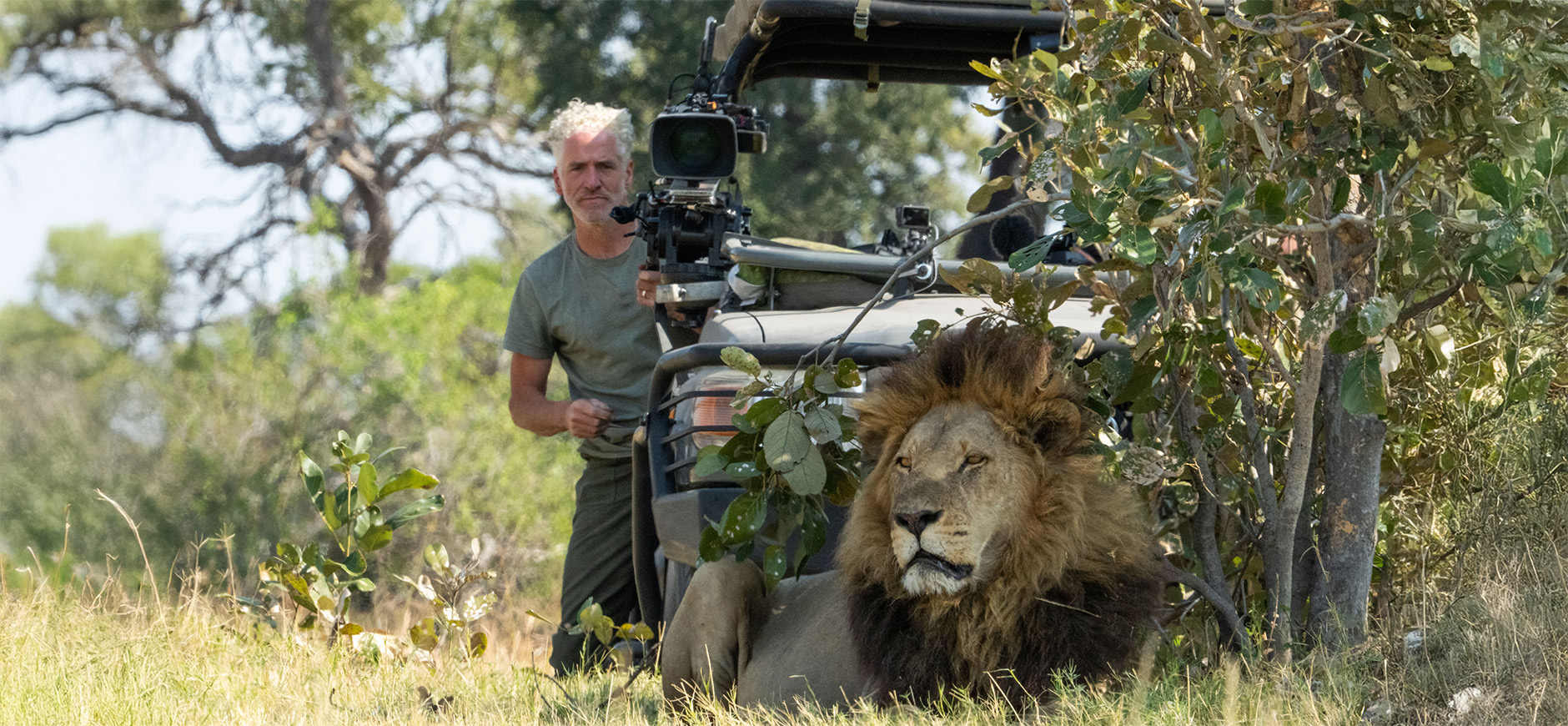 Big Cats 24-7 1880x870
