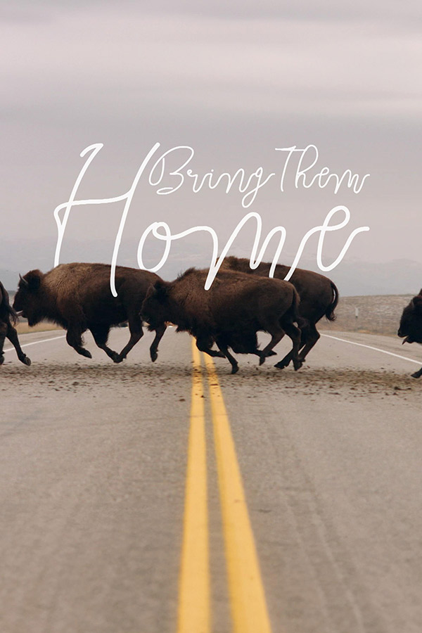 Bring Them Home 600x900