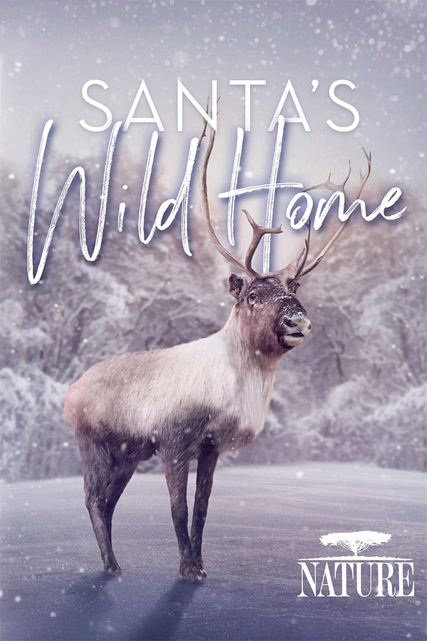 Nature Santa's Wild Home 600x900
