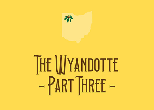 Wyandotte