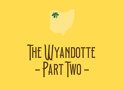 Wyandotte