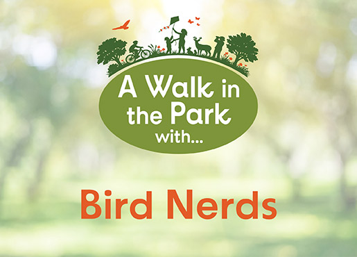 Birding