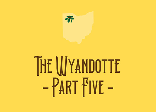 Wyandotte