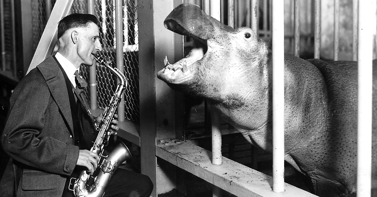 The Toledo Zoo A Living History WGTE Public Media