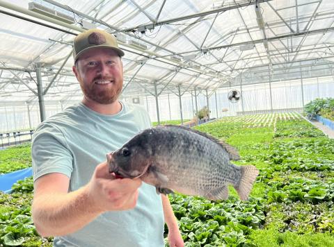 At Roothouse Aqauponics, Mike McGraw raises tilapia. He's one of few aquaponic fish farms across the state.