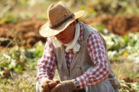  Ohio farmers deal with high rates of stress and stress-related diseases, but resources to help are often less accessible than in urban areas.