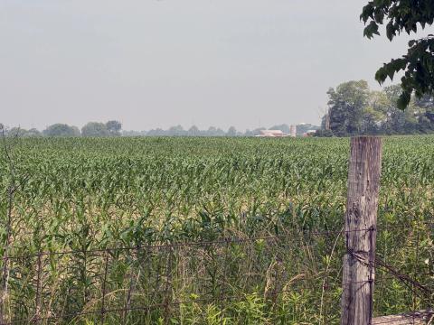 Cornfields, like this one in Greene County, dot the state. But does that alone make it Midwestern?