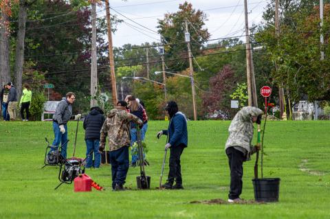  Since 2013, the Trumbull Neighborhood Partnership has worked to reduce the number of vacant properties in the city of Warren, renovating some and demolishing others, turning them instead into green spaces.