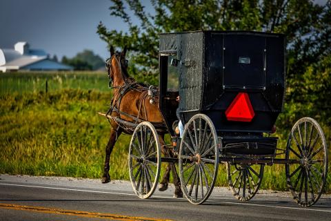 There are more than 380,000 Amish people living in North America, and the number is rapidly rising. According to experts from the Young Center for Anabaptist and Pietist Studies at Elizabethtown College, the group's population doubles approximately every 20 years.
