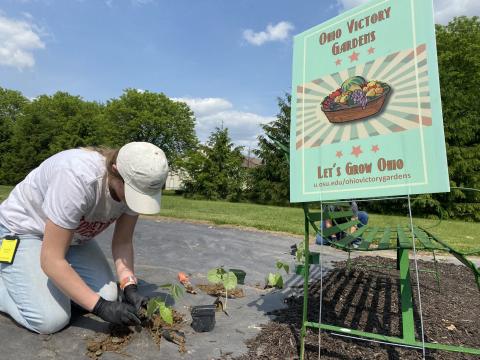  The Ohio Victory Gardens program aims to get more Ohioans planting.