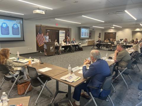 LeeAnne Cornyn, director of the Ohio Department of Mental Health and Addiction Services, spoke at the OneOhio Recovery Foundation's board meeting in June.