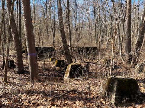 Now covered in moss, these concrete remnants once stood outside the entrance to a mine in Athens County. A local organization is trying to reclaim the space. They envision a playground here.