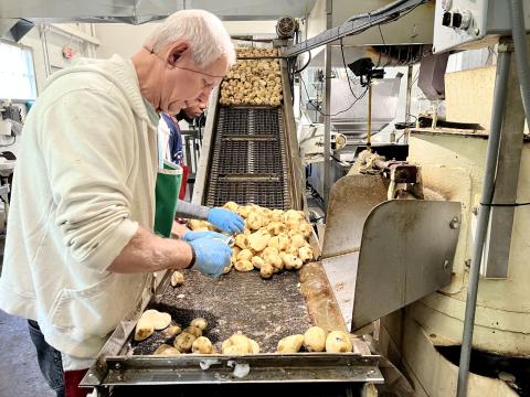 Uncle Joe cuts out any black spots on the peeled potatoes at Hartville Potato Company in Akron.