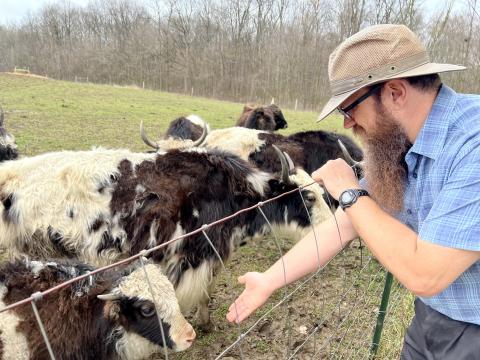 Blake Mathys reaches a hand out to a yak calf. He's one of a small handful of yak farmers in the state.