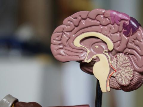 An Ohio organization is raising awareness about the connection between domestic violence and traumatic brain injuries.
