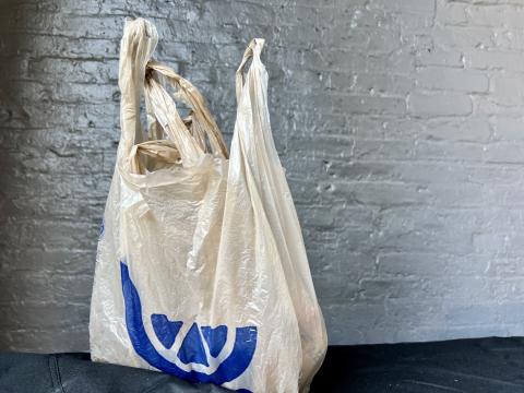 A state appeals court ruled the city of Athens can't enforce its ban on single-use plastic bags.