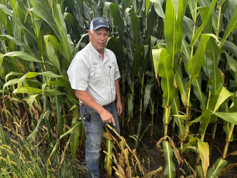 Dennis Vennekotter stands in a field of corn on his farm in northwest Ohio's Putnam County. The farm has been in his family for over a century.