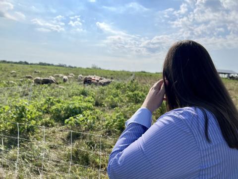 Sarah Ison looks out over sheep grazing at her farm in Moscow.
