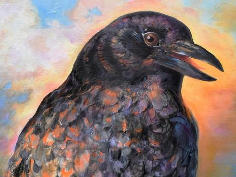 Each year, thousands of crows descend in Mansfield. But they don't all soar in on feathers. Some, like this one, are made with a paintbrush.