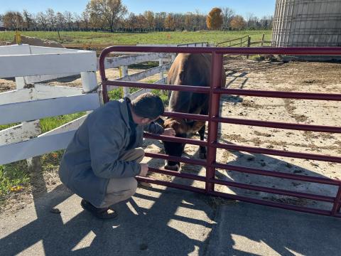 John Young, CEO of Young's Jersey Dairy, said the family-run farm doesn't plan to go back to selling raw milk, even if proposed legislation allows them to do so.
