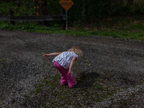 Paige Casto stops to admire a butterfly. She was a toddler when her family first began being photographed by Maddie McGarvey.