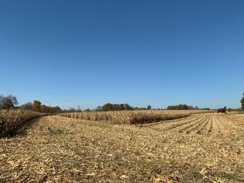 Of the 500 counties across the country that use the most pesticides per square mile, about 60% have cancer rates higher than the national average, including two dozen counties in northwest Ohio.