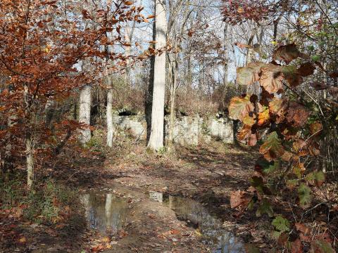 The McArthur research station is located just outside the Vinton Furnace Experimental Forest. While the forest is state-owned, Forest Service scientists have studied and maintained the area for decades.