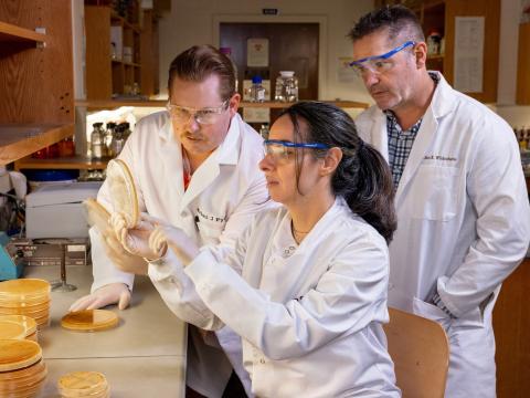 A team of researchers at Bowling Green State University