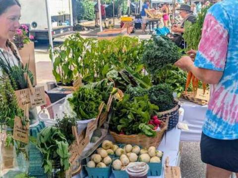 Sarah Finney, owner of Finney Family Farms, sells produce to a customer. She sets up at the Covington Farmer's Market in northern Kentucky and has almost doubled their sales from last year in the past month.