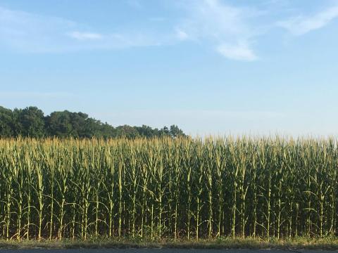 Across the country, farmers are struggling with rising costs of everything from fuel to fertilizer, seeds to steel. Last year, family farm bankruptcies rose by 46% — a trend that's carried into this year too.