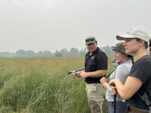 Ohio conservationists hope to help revive populations of a rattlesnake native to Ohio.