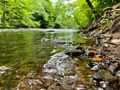 Around a million visitors travel to Mohican State Park each year, which boasts opportunities for camping and canoeing.