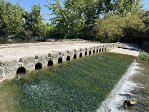 The City of Washington Court House, Fayette County Soil and Water Conservation District and Rural Action are working together to remove this dam along Paint Creek in Eyman Park. It's one of several projects to remove low-head dams across the state.