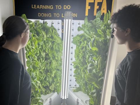 Students within Lima City School district are using hydroponic towers to fight food insecurity.